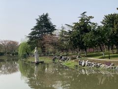 -堤角公园