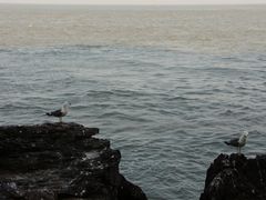-海驴岛(荣成市)