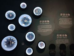 -中国湿地博物馆