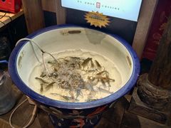 -大张烙馍村·美食地标(泉山店)