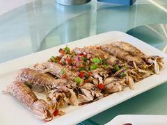 -华盛丰温州大排档(东三环南路店)