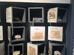 -湖南省地质博物馆