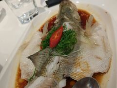 -至潮餐厅精致粤菜·活鲈鱼·走地鸡(珠江新城店)