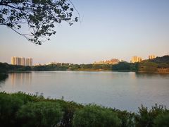 -广东花都湖国家湿地公园
