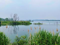 -野鸭湖国家湿地公园