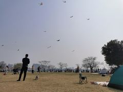 -蠡湖大桥公园