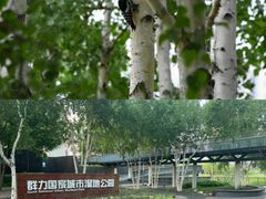 -黛秀湖公园
