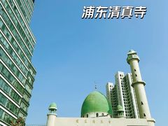 -陆家嘴中心绿地