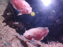 -海合安青岛极地海洋公园