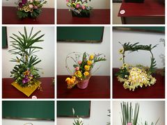 -广州老年大学