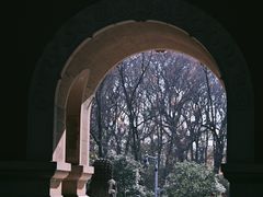 -灵谷景区