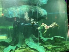 -龙谷湾旅游休闲度假区