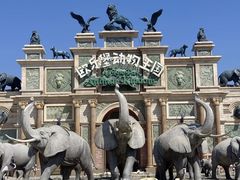 -泉城欧乐堡海洋极地世界