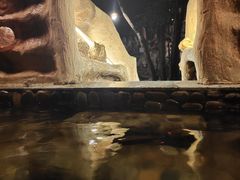 -天门沟九州驿站树上汤泉