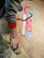 -酷嗒动物文化乐园(cutezoo西溪乐天城店)