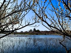 -上海海湾国家森林公园