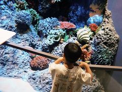 -中国湿地博物馆
