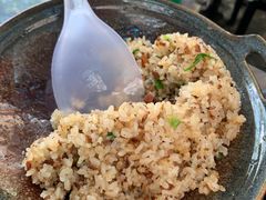 -蘑统田下·野生菌火锅