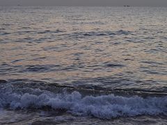 -日照海滨国家森林公园