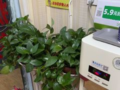 -康之道盲人按摩(No.3台北路店)