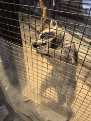 -酷嗒动物文化乐园(cutezoo西溪乐天城店)