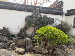 -上海醉白池公园