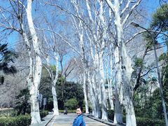 -武汉大学-樱园