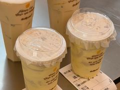 -猫的魔法密林(衣裳街店)