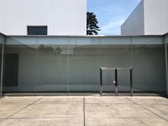 -金泽21世纪美术馆