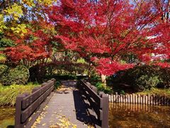 -上海科技馆(地铁站)