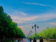 -武汉知音号