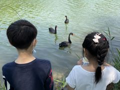-河北省园博园