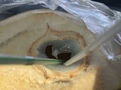 -东郊椰林