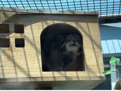 -青藏高原野生动物园