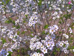 -祥源·阜阳生态乐园