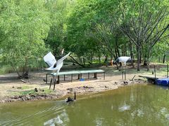 -长白岛森林公园