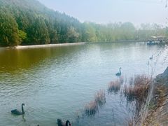 -静之湖度假区