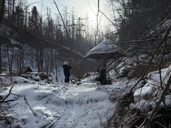-峡谷浮石林景区