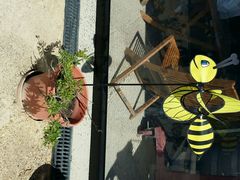 android_upload_pic-Kate's Berry Farm