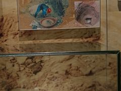 -长沙简牍博物馆