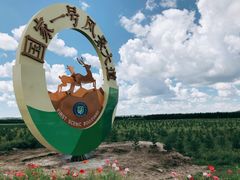 -塞罕坝国家级自然保护区