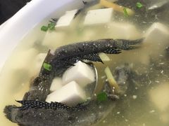 -胖大嫂渔家排档·全海景餐厅(渔村店)