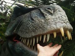 -呀路古热带植物园-恐龙馆
