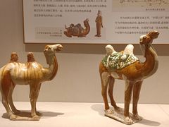-深圳博物馆(古代艺术馆)