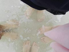 -滴水丹屏