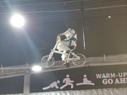 点击看大图 -多乐岛运动游乐城(杭州店)