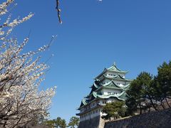 -名古屋城