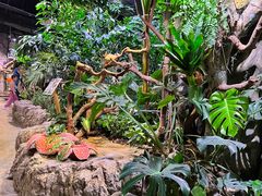 -正佳雨林生态植物园