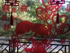 -汤泊温泉度假村