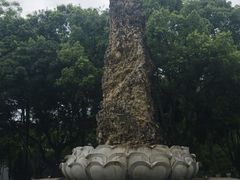 -永安龟山公园